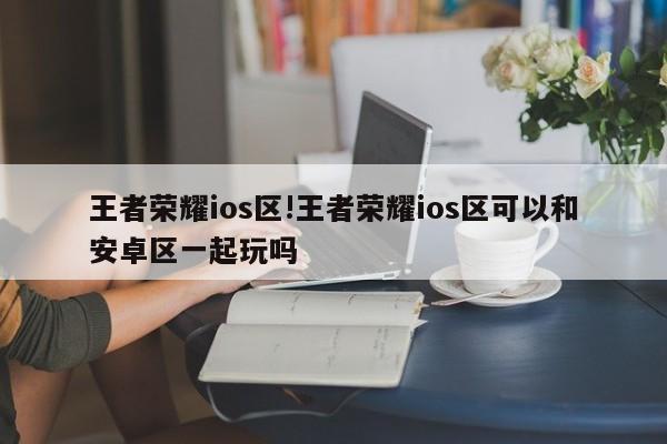 王者荣耀ios区!王者荣耀ios区可以和安卓区一起玩吗
