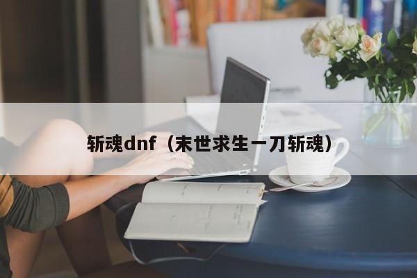 斩魂dnf（末世求生一刀斩魂）