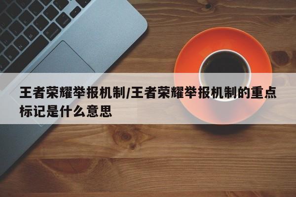 王者荣耀举报机制/王者荣耀举报机制的重点标记是什么意思